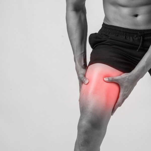 Huesos y Articulaciones